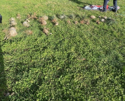 35d92e59 89ee 4eb6 92bd A11620736913