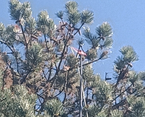 7635d6b8 118e 11f1 8000 B450887dc69f