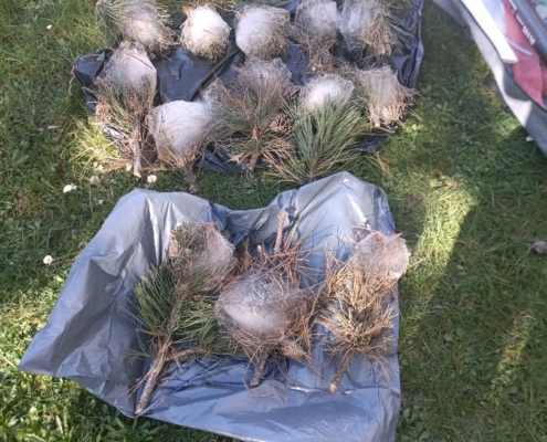 9ea98ff8 118f 11f1 8000 B450887dc69f